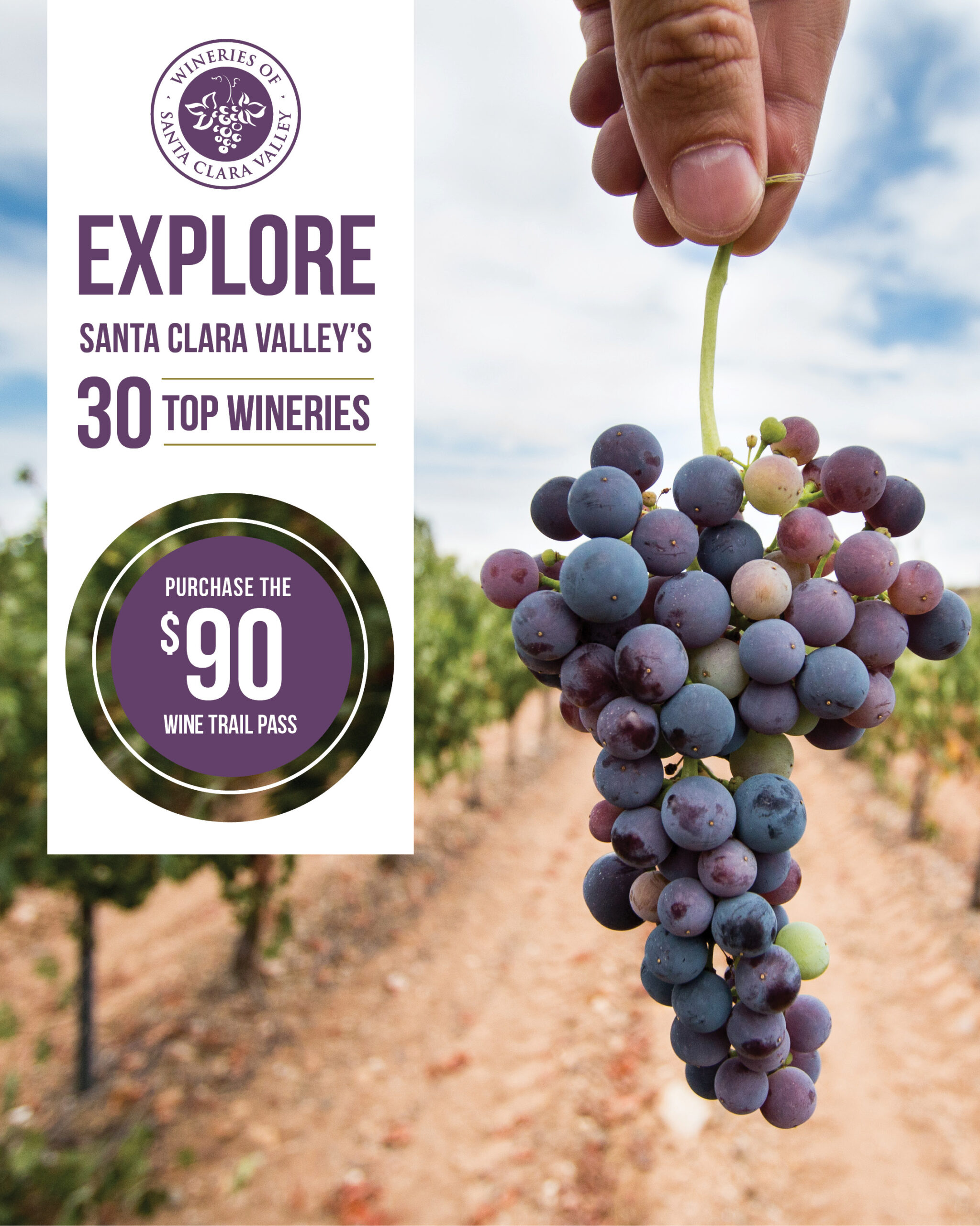 Santa Clara Valley Wine Auction — Visit Morgan Hill